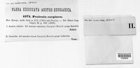 Pezicula carpinea image